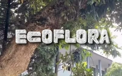 ECOFLORA – Rabu, 29 Oktober 2025.